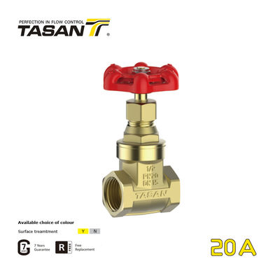 Manual DN15-100mm 1 Inch Brass Gate Valve PN20 for plumbing system 20A