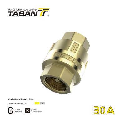 ISO228  Thread Brass Universal Check Valve 30A